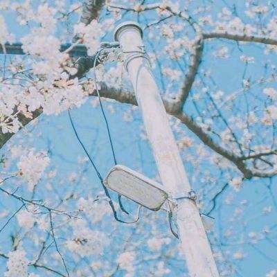 基因风暴之蝴蝶游戏下载